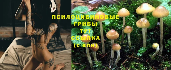 ECSTASY Абаза