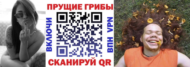 кракен ССЫЛКА Миллерово Галлюциногенные грибы Psilocybine cubensis